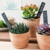 Set 10 Etichete de gradina din ardezie Navaris pentru plante, 42174