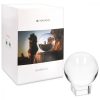 Glob de sticla cu sport Navaris pentru fotografii/ decor, 80 mm, 42864