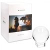 Glob de sticla cu sport Navaris pentru fotografii/ decor, 60 mm, 42862