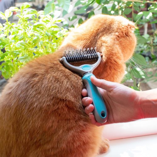 Perie Navaris pentru caini si pisici, Verde, Plastic, 44332