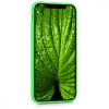 Husa Apple iPhone X / iPhone XS, Silicon, Verde, 43940.44
