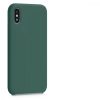 Husa Apple iPhone X / iPhone XS, Silicon, Verde, 46313.166
