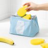 Set 5 Pastile de racire Navaris pentru geanta frigorifica, Reutilizabile, Ananas, 48099.03