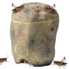 Castron Navaris, Cricket Feeding Rock, 10x9x12 cm, perfect pentru reptile, NAV000025YD001C