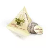 Set cadou ceai infloritor Creano ErbluhTeelini, 12 bile, 4 sortimente, alb, cutie lemn