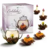 Set cadou Creano ErbluhTee Mix, ceainic din sticla 500 ml si 6 bile ceai infloritor negru, 3 varietati