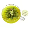 Set ceai infloritor Creano ErbluhTeelini pentru cana, 8 bucati (4 arome), ceai verde