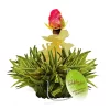 Set ceai infloritor Creano ErbluhTeelini pentru cana, 8 bucati (4 arome), ceai verde