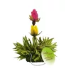 Set ceai infloritor Creano ErbluhTeelini pentru cana, 8 bucati (4 arome), ceai verde