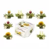 Set ceai infloritor Creano Teelini, 8 plicuri pentru cana, 4 arome, ceai alb