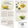 Set ceai infloritor Creano Teelini, 8 plicuri pentru cana, 4 arome, ceai alb