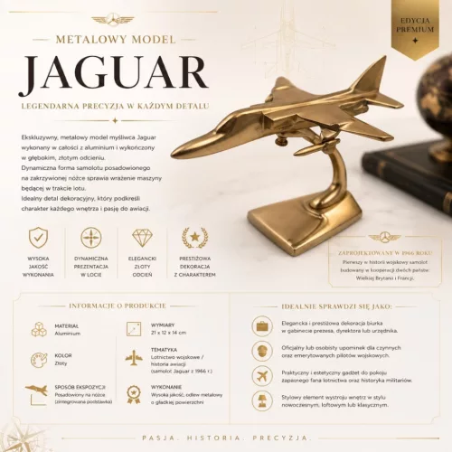 Model avion Jaguar JAG asezat pe suport