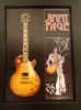 Chitara Jimmy Page in rama