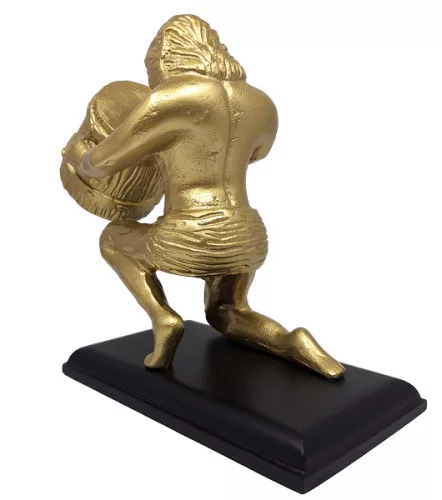 Cadou pentru nativul Varsator AQU2