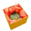 Decor marin Giftdeco HX068