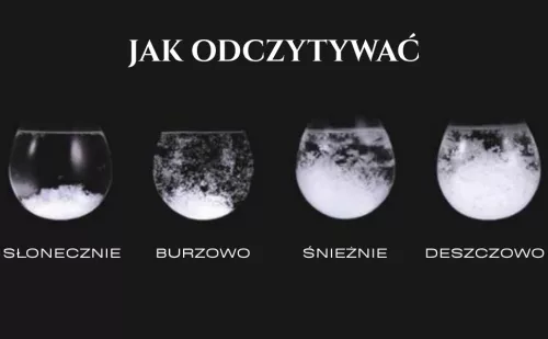 Instrument pentru observarea vremii BAG1