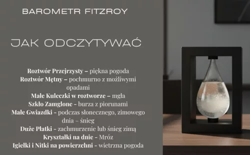 Barometru Fitzroy Giftdeco BAW1